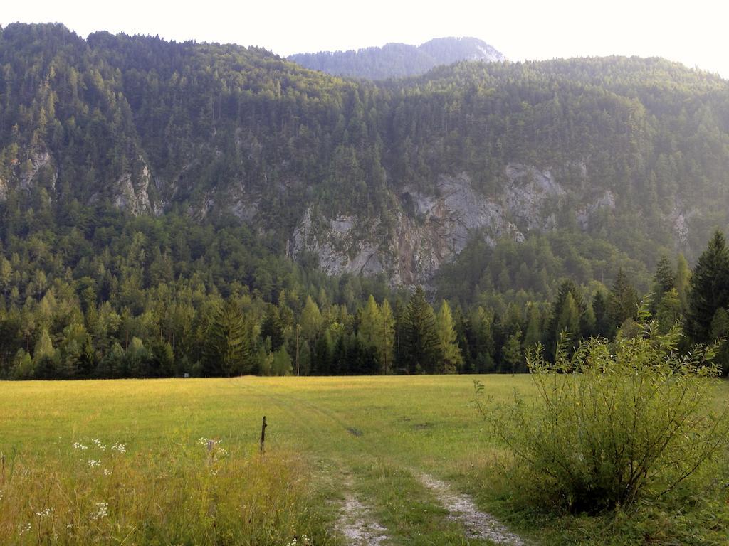 Apartment Brina Kranjska Gora Dış mekan fotoğraf